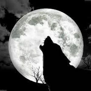 Meet your Posher, Danko